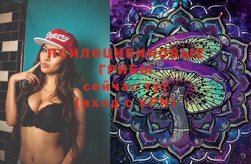 omg сайт  Углегорск  Псилоцибиновые грибы Psilocybine cubensis  как найти  